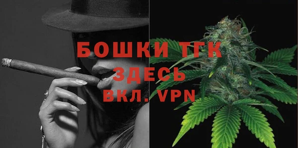 мдпв Пестово