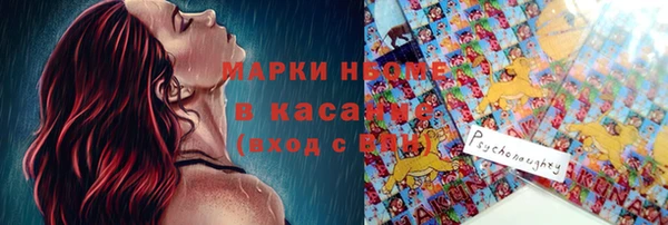 мдпв Пестово
