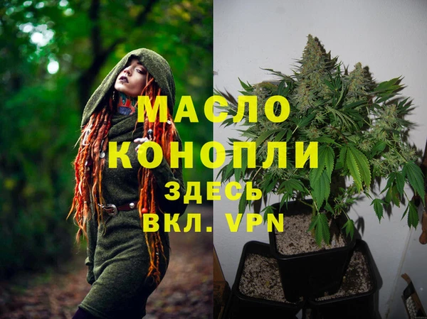 мдпв Пестово
