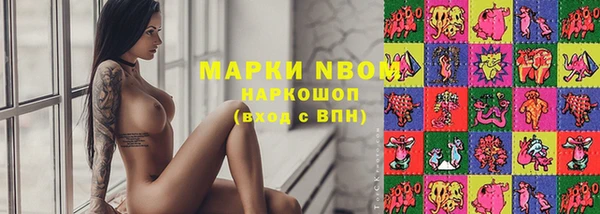 мдпв Пестово
