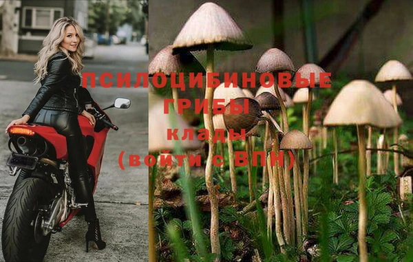 не бодяженный Пересвет